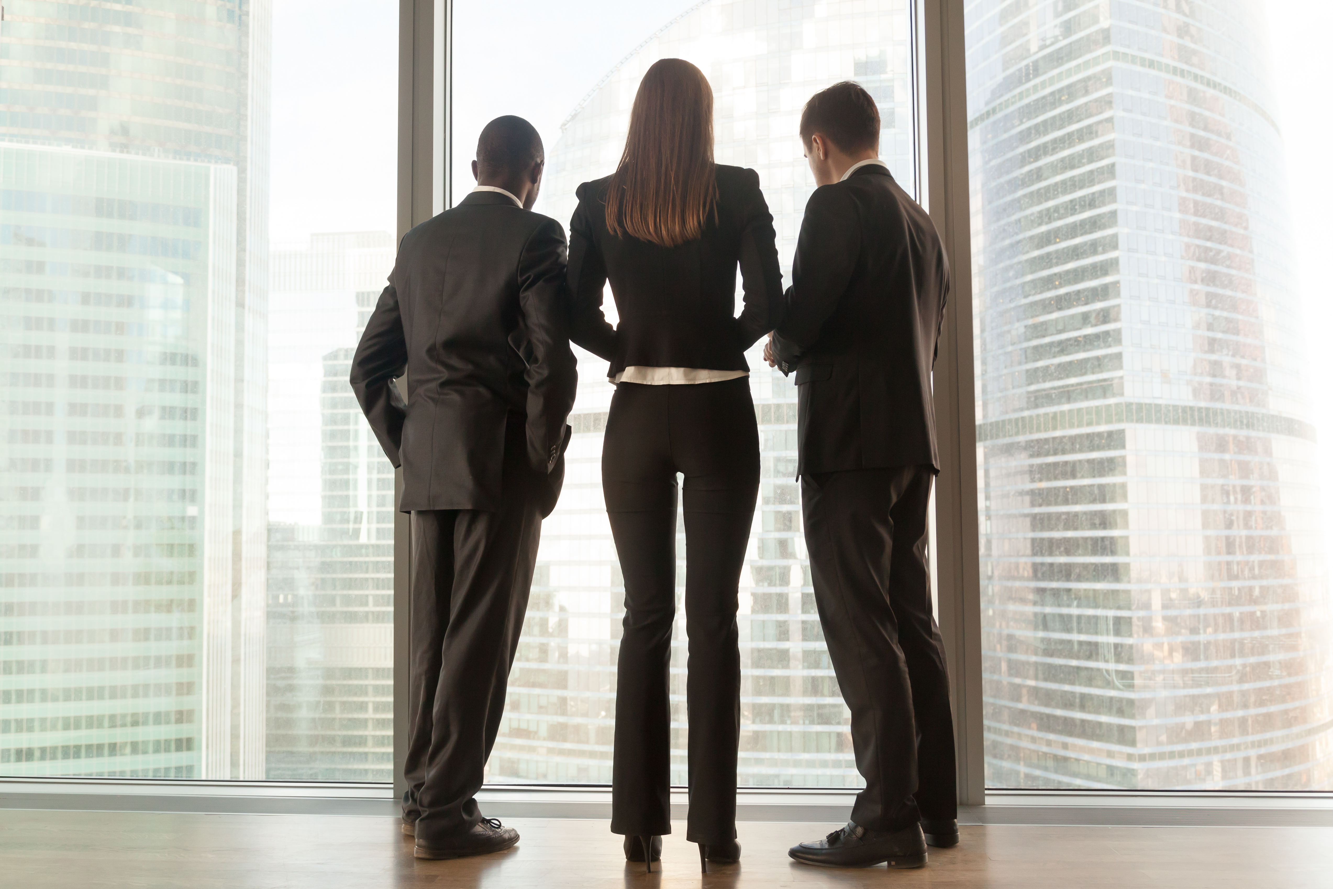 Equipo de consultores en transición energética